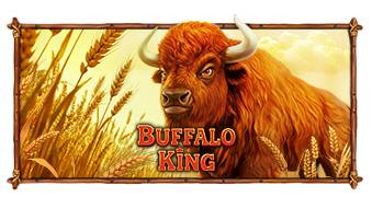 Buffalo King